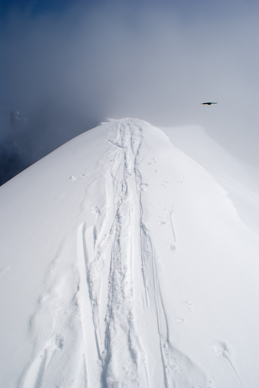 Alpine skiing tracks in Chamonix